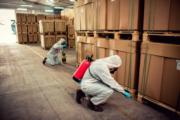 Best Local Pest Control Services  in Thruston, KY
