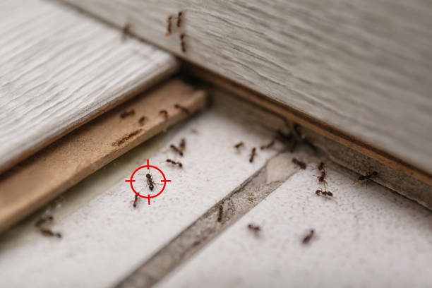 Best Pest Control for Restaurants  in Thruston, KY
