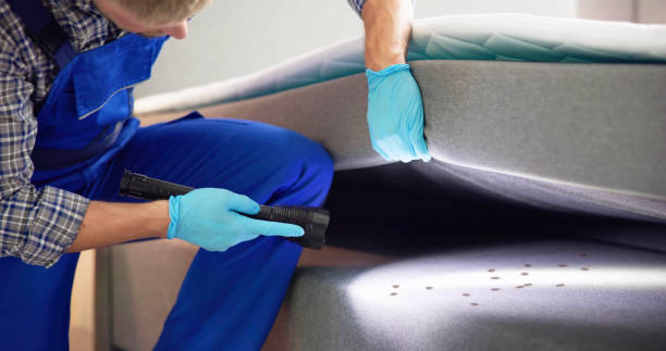 Best Affordable Pest Control Services  in Thruston, KY