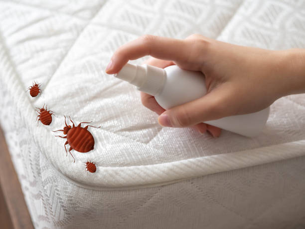 Best Pest Inspection Near Me  in Thruston, KY