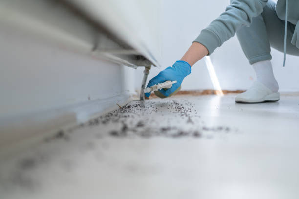 Best Affordable Pest Control Services  in Thruston, KY